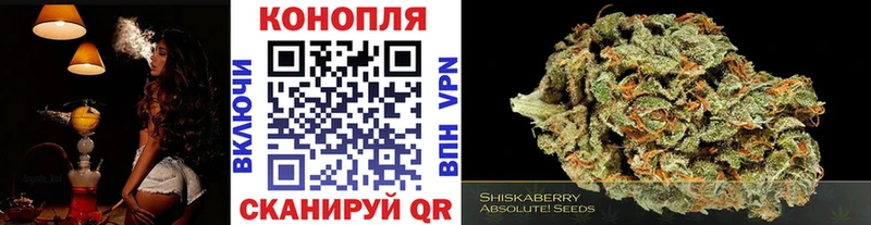 Где купить наркоту Владивосток АМФ  Меф мяу мяу  Кокаин  Гашиш  Каннабис 