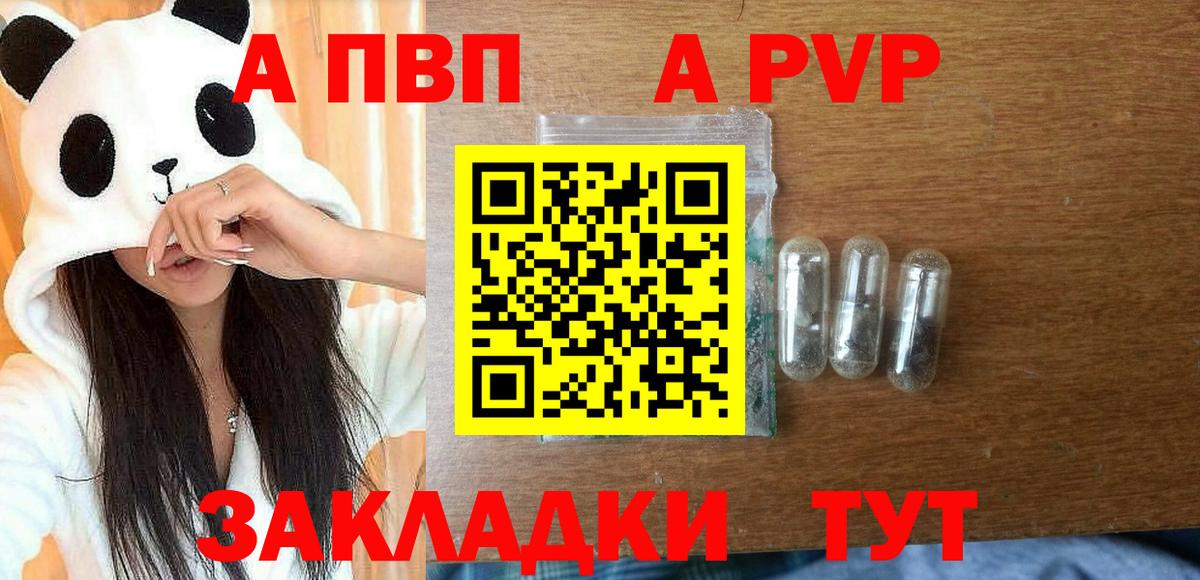 Alfa_PVP СК Владивосток