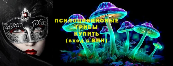 прущая мука Осташков