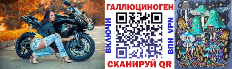 Галлюциногенные грибы Psilocybine cubensis Владивосток