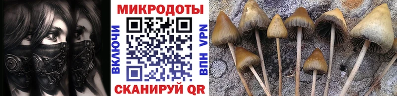 Псилоцибиновые грибы ЛСД  Владивосток 