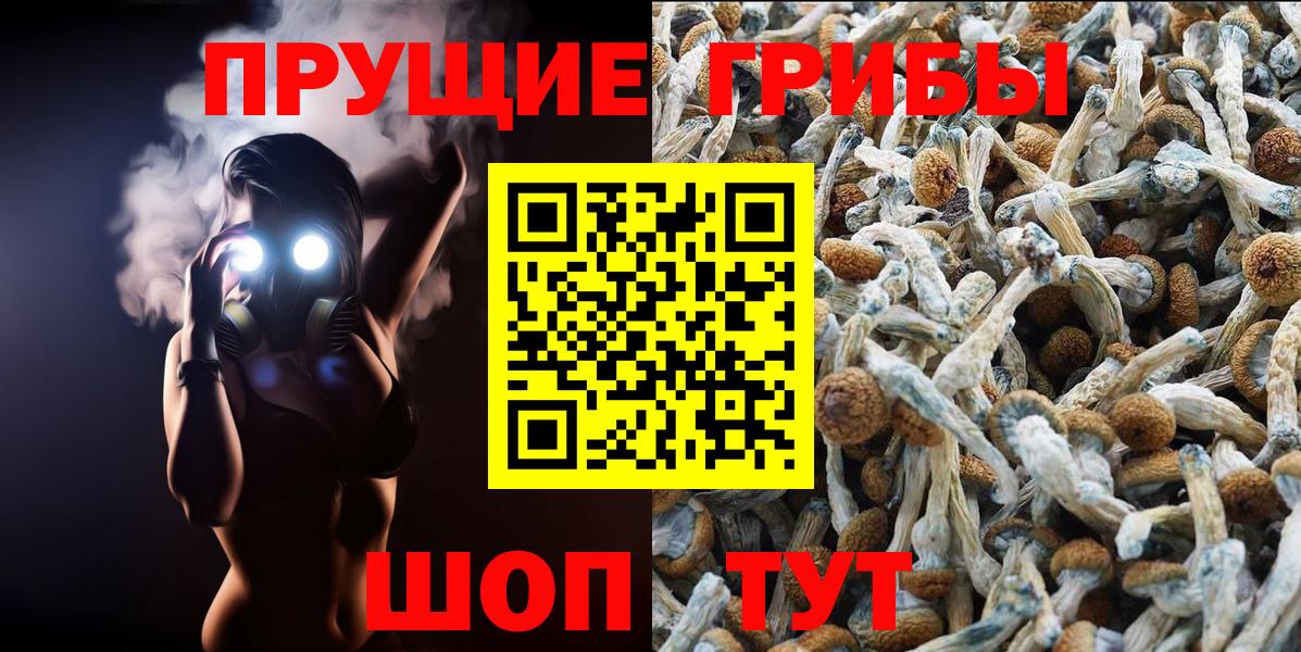 Галлюциногенные грибы Cubensis  Вход с VPN  Владивосток 