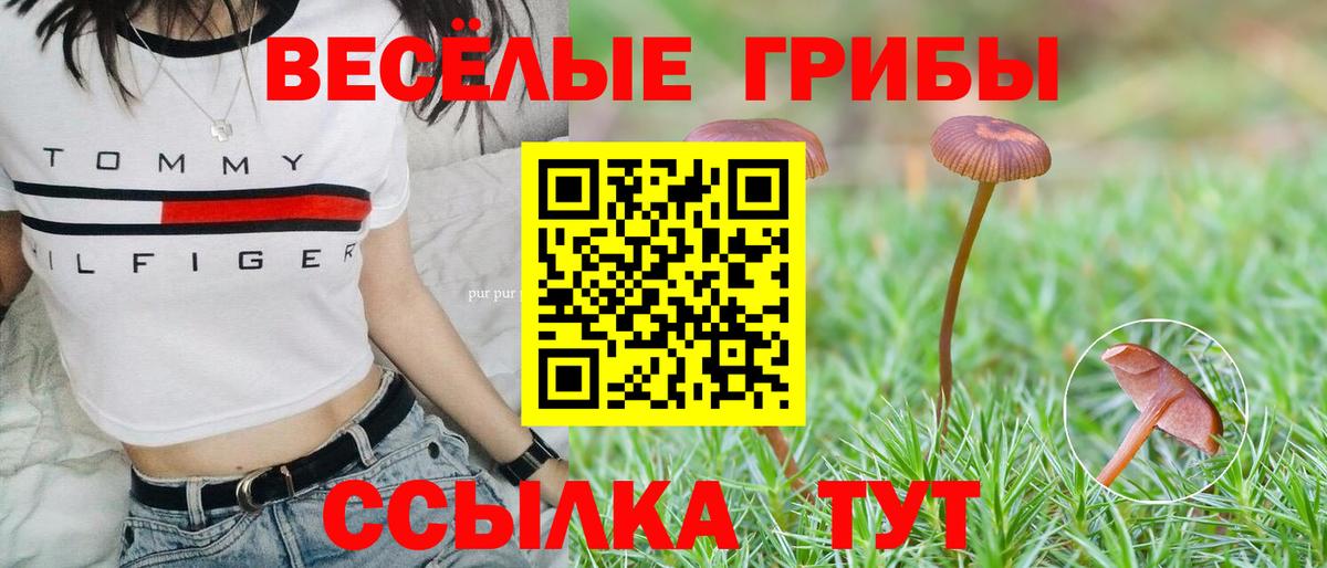 Псилоцибиновые грибы прущие грибы Владивосток