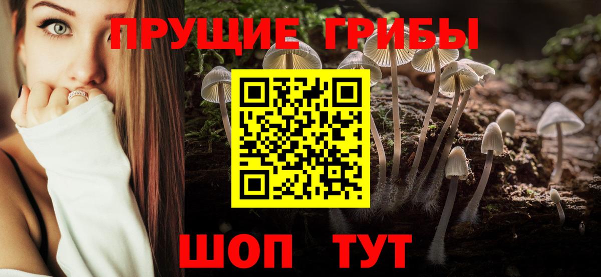 Псилоцибиновые грибы MAGIC MUSHROOMS Владивосток